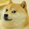 Much Doge