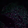 Mosquitobrain but cool