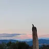 iagova_19