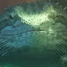 Beardie 3DP