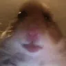 tinywhisk