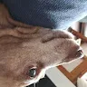 A. Z.