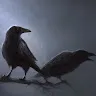 Nordic Ravn