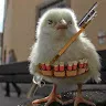 Rioter GamingRG