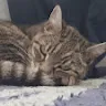 Tigger