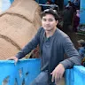 Shulhi Sapli