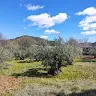 Nordenia