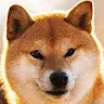 AnonymousDoggo