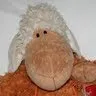 Pepe