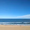 Berkley Martin