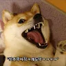 _gyepy