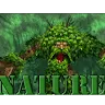 The Nature
