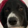 Rube | Printables.com