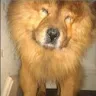 Duncan