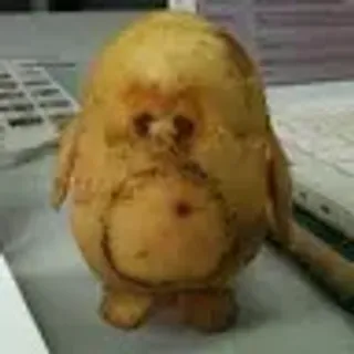 Grognak_Slayer