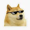 RandomDoge