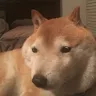 Gleeble