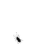 Backaroma