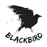 BlackBird9424