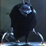 JK Gonfalon