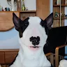 Matthias