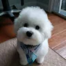 Finnegan Roux