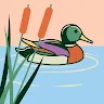 Ducky Pool