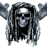 Halcon CHRIS