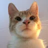 blep