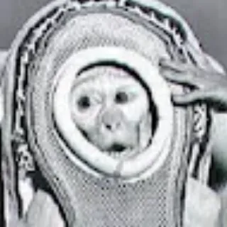 sonson77