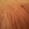 Bob Bobby 921