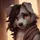 Nyx Wolf