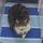 Jimmy_9000