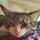MrSarah EatsFancyFeast