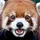 _RedPandaMC