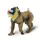 Mandrill saoui