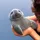Manateelover