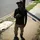 C2theshooter