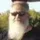 Greybeard