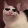 MrMonke1432