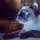 Thomas