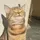 Freya You