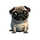 La Horda Pug