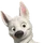 WiPhoenix