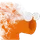 survivorr