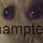 Hamptersdailymemes