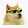 RandomDoge