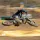 Jordan JGMX24