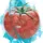 TempoTomato