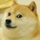 Much Doge